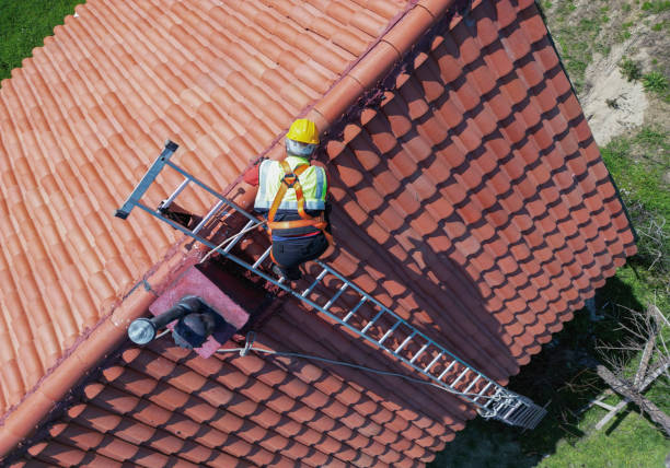 Best Metal Roofing Installation  in Holly Hills, CO