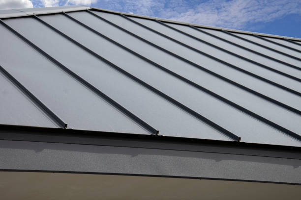 Best Roof Coating and Sealing  in Holly Hills, CO